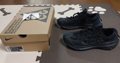 Nike ACG Mountain Fly 2 Low "Black"