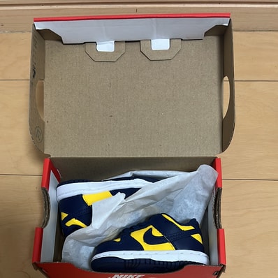 Nike TD Dunk Low "Michigan"