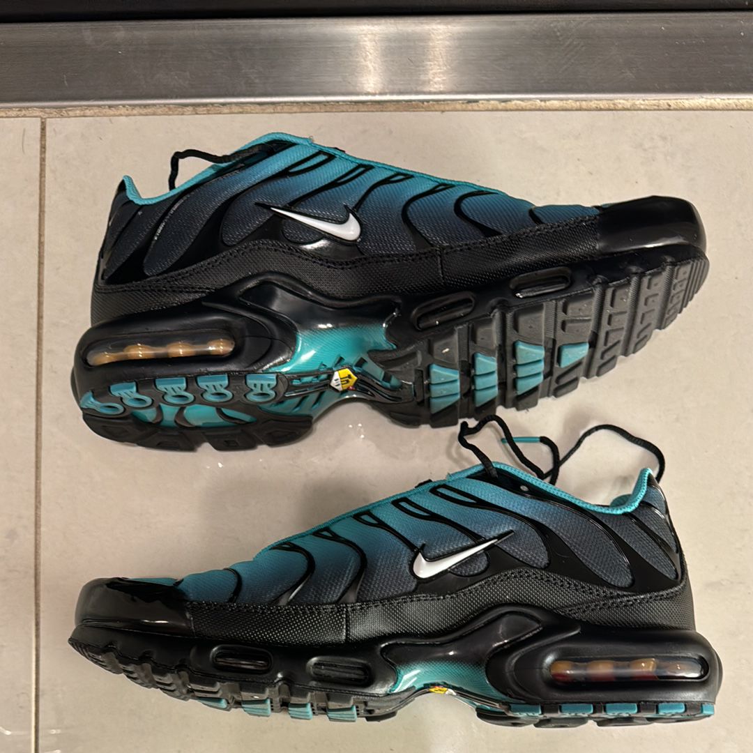 Nike Air Max Plus "Light Retro"