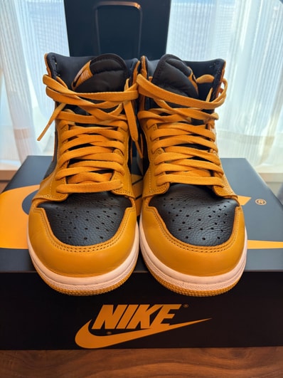 Nike Air Jordan 1 High OG "Pollen"