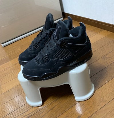 Nike Air Jordan 4 "Black Cat"