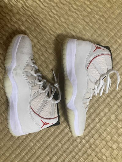 Nike Air Jordan 11 Retro "Platinum Tint"