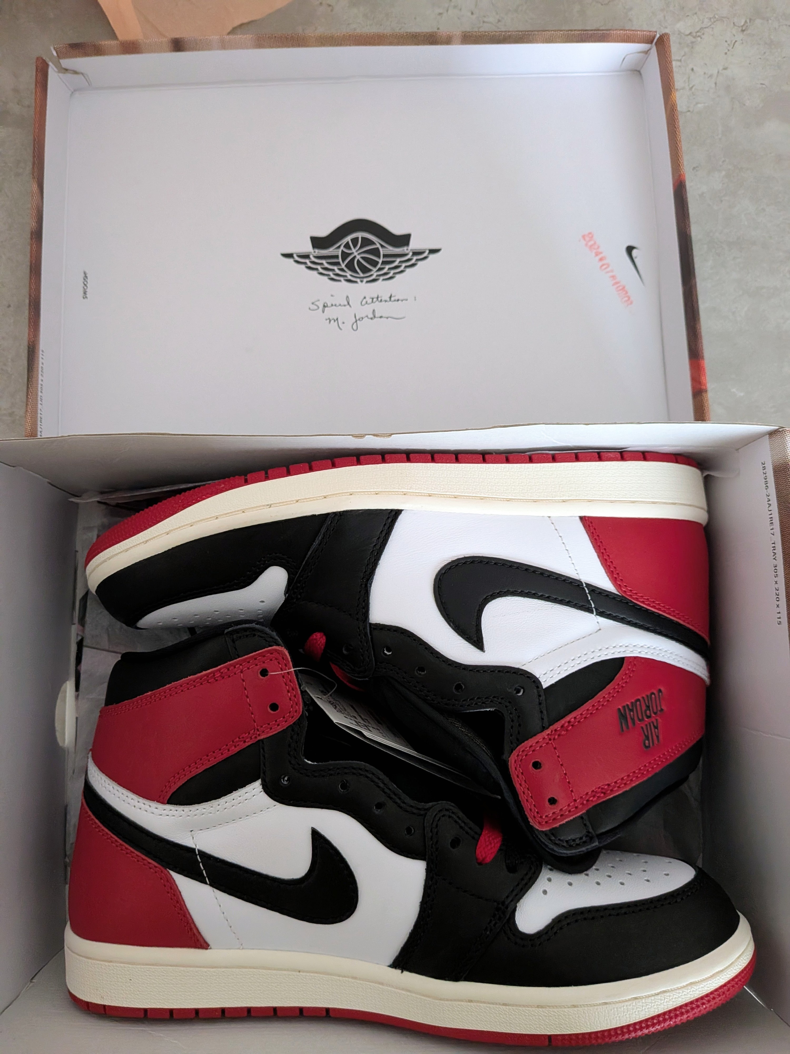 Nike Air Jordan 1 Retro High OG "Black Toe Reimagined"