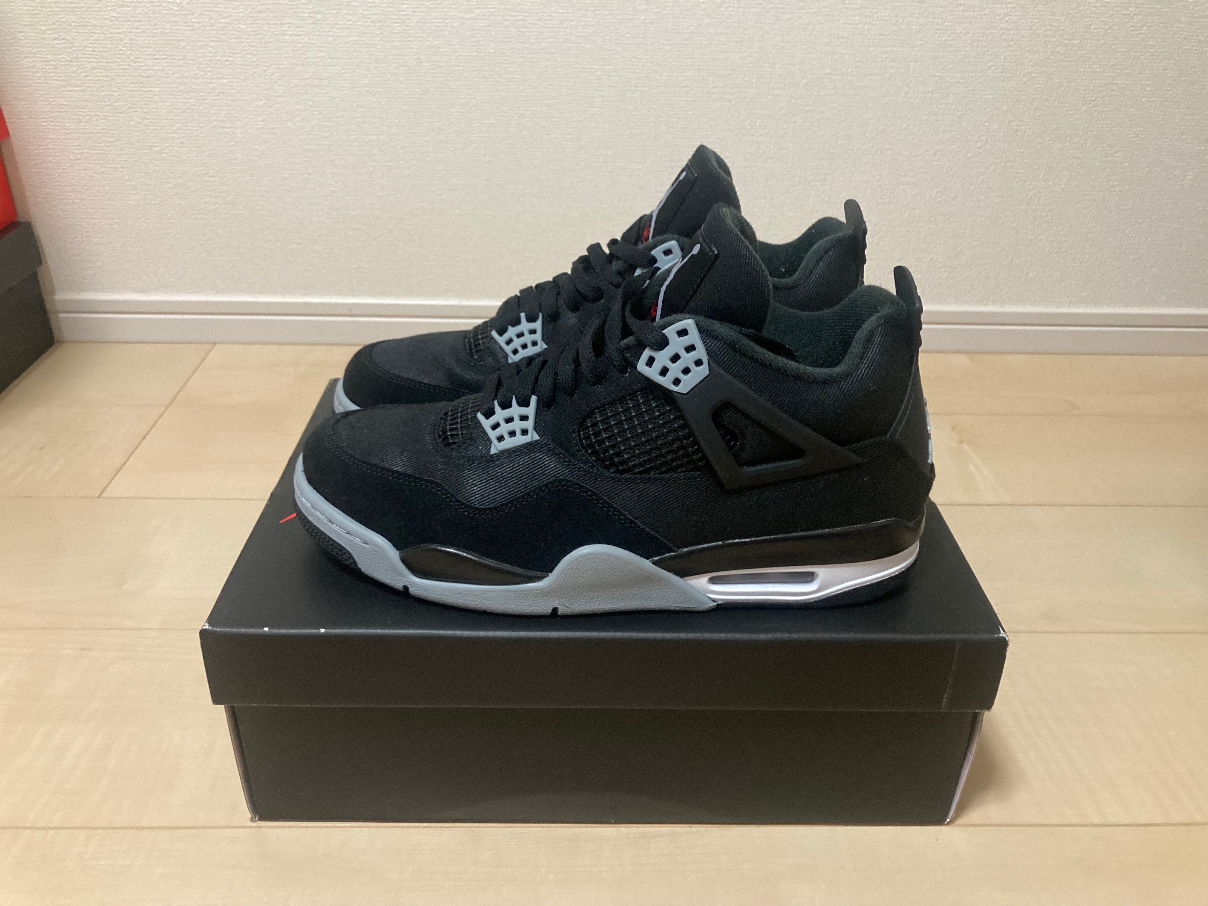 Nike Air Jordan 4 SE "Black and Light Steel"