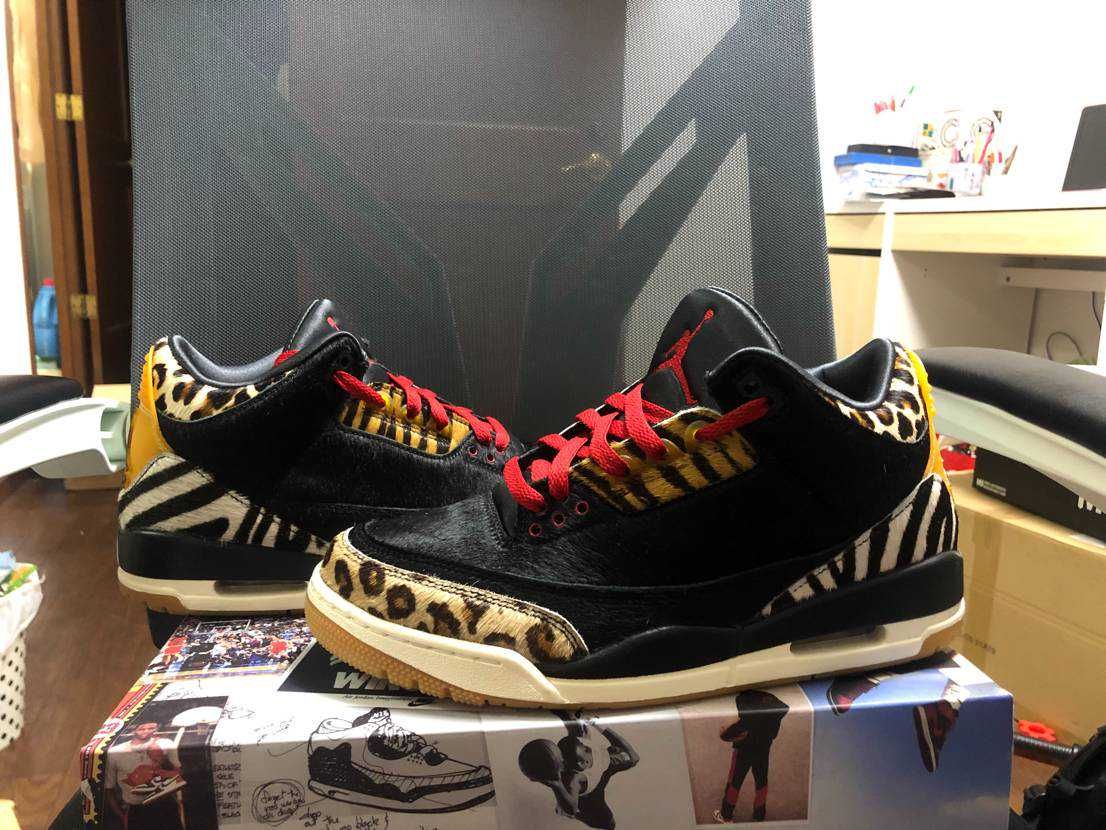 Nike Air Jordan 3 Retro SE "Animal Instinct/Safari"
