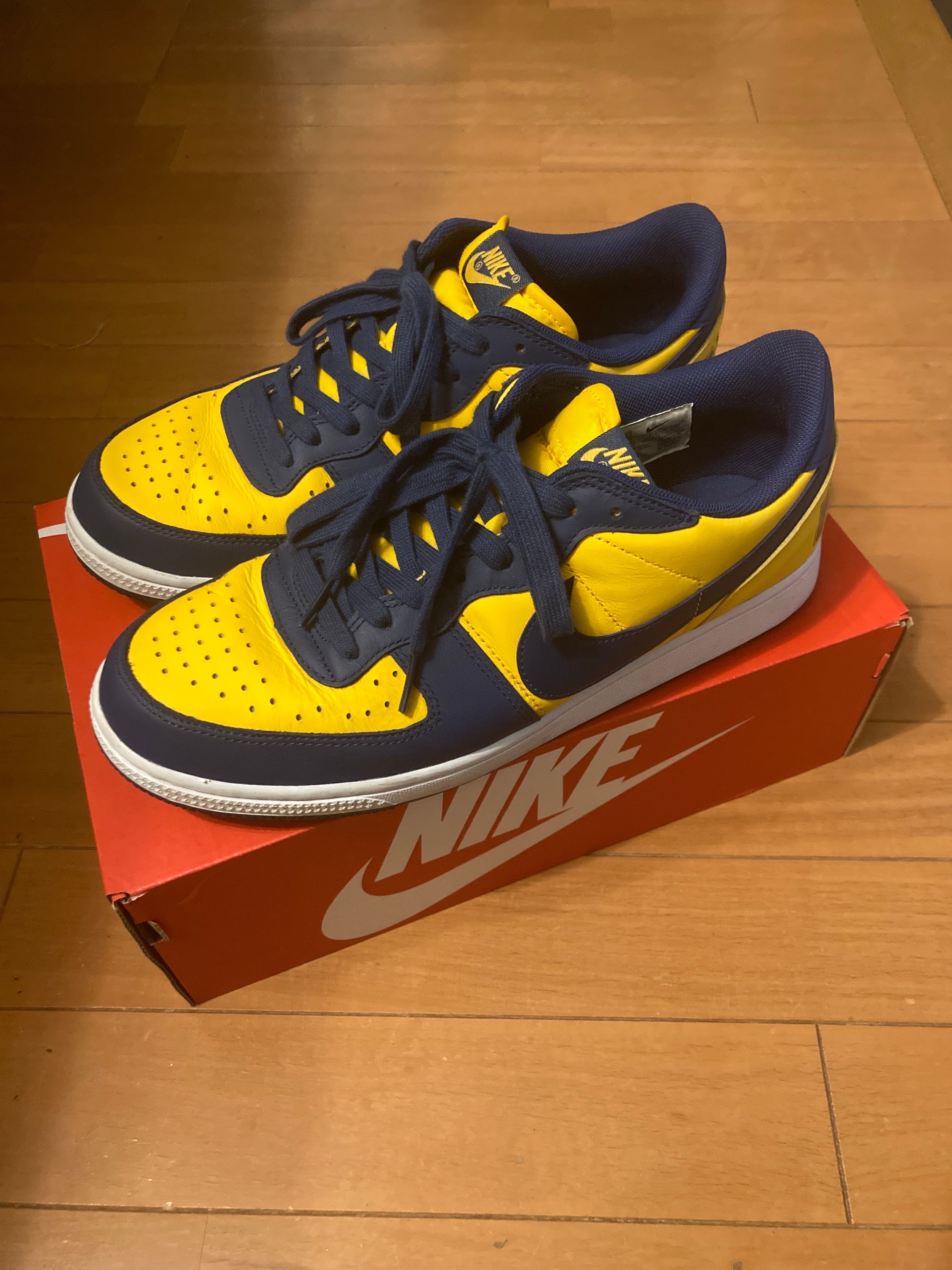 ナイキ ターミネーター ロー "ユニバーシティゴールド アンド ネイビー/ミシガン"