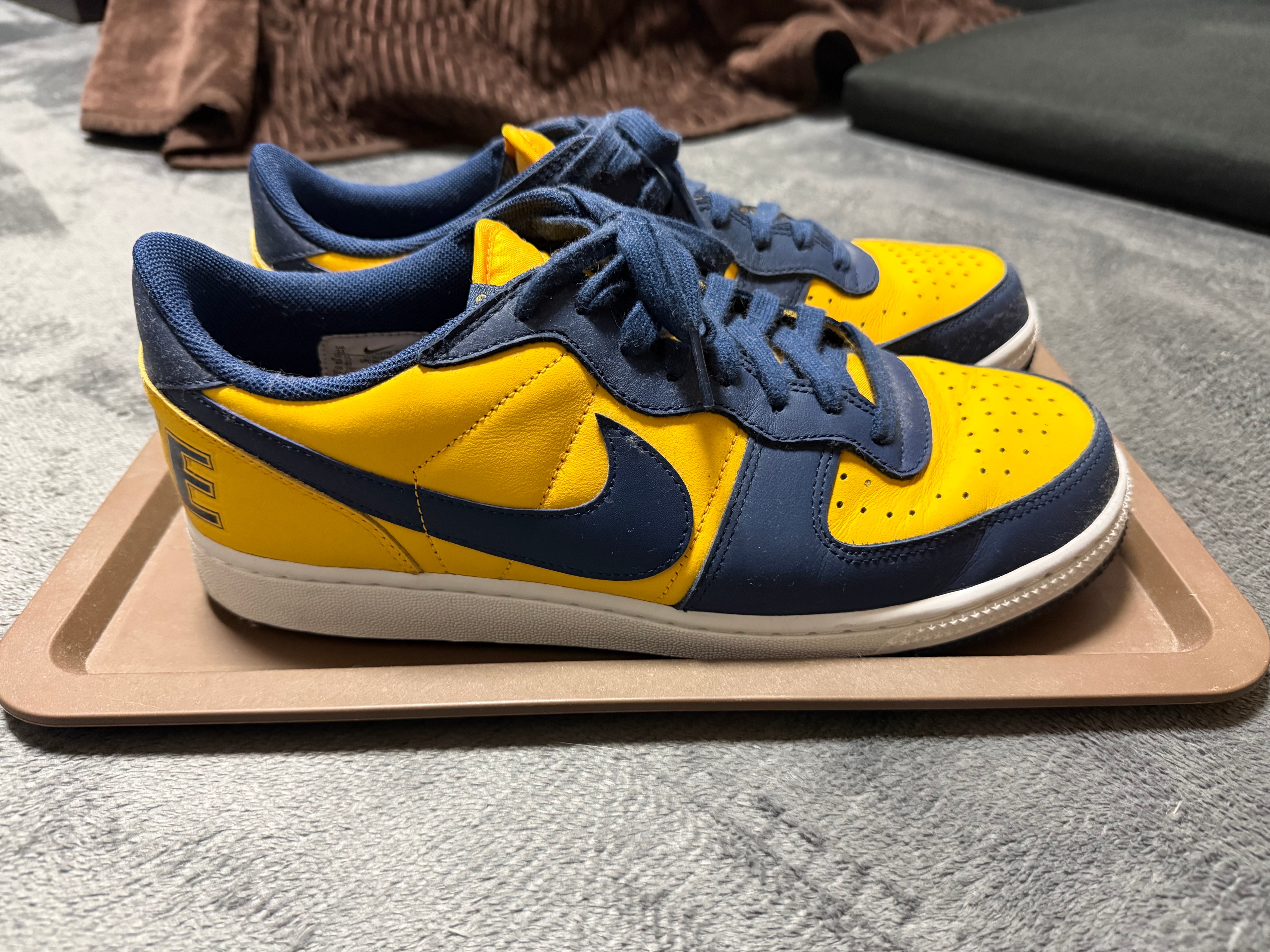 Nike Terminator Low "University Gold and Navy/Michigan"