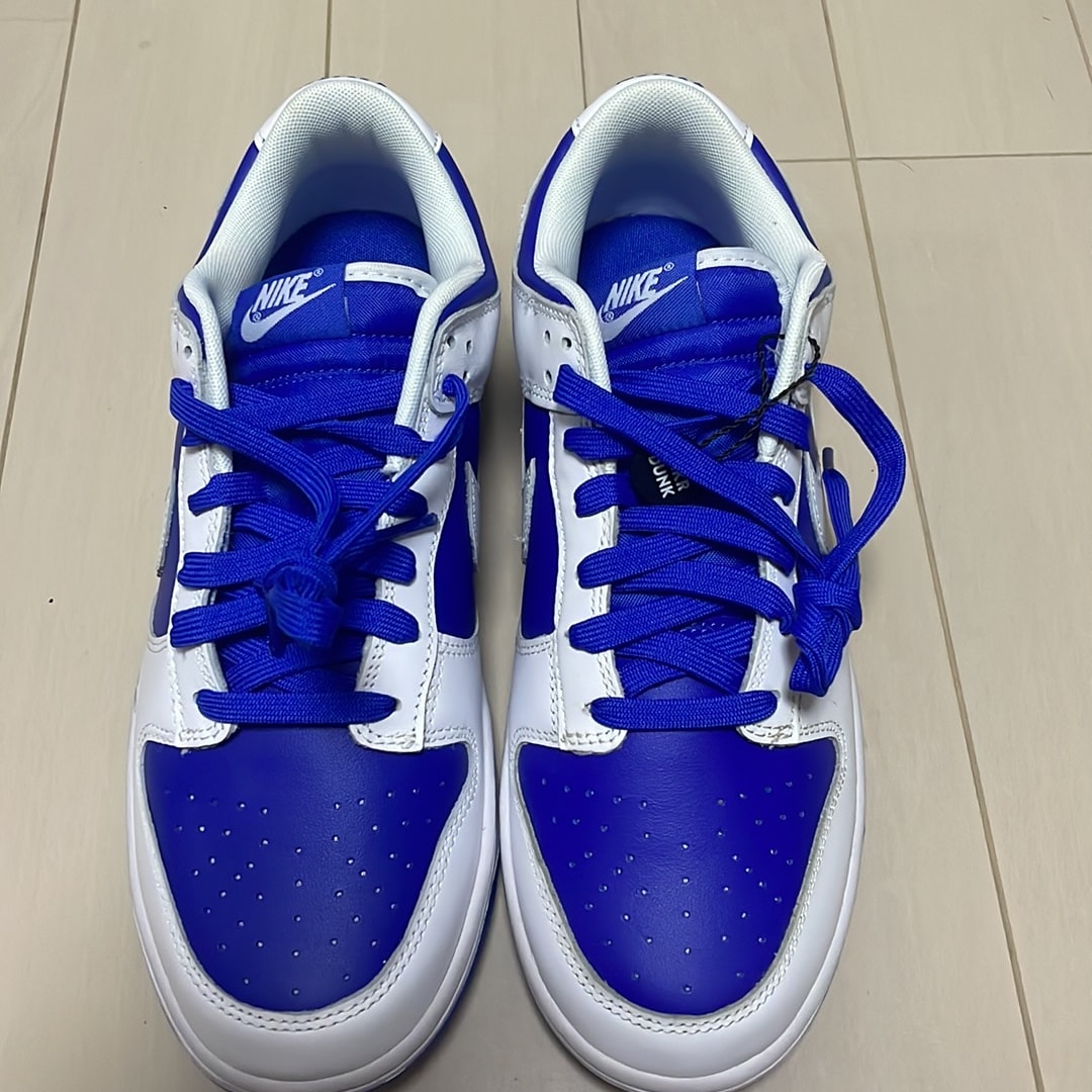 Nike Dunk Low Retro "Racer Blue and White"