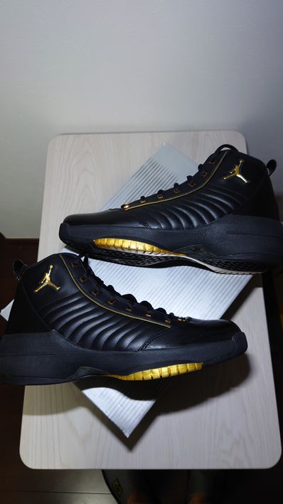 Nike Air Jordan 19 OG SE "Black/Metallic Gold"