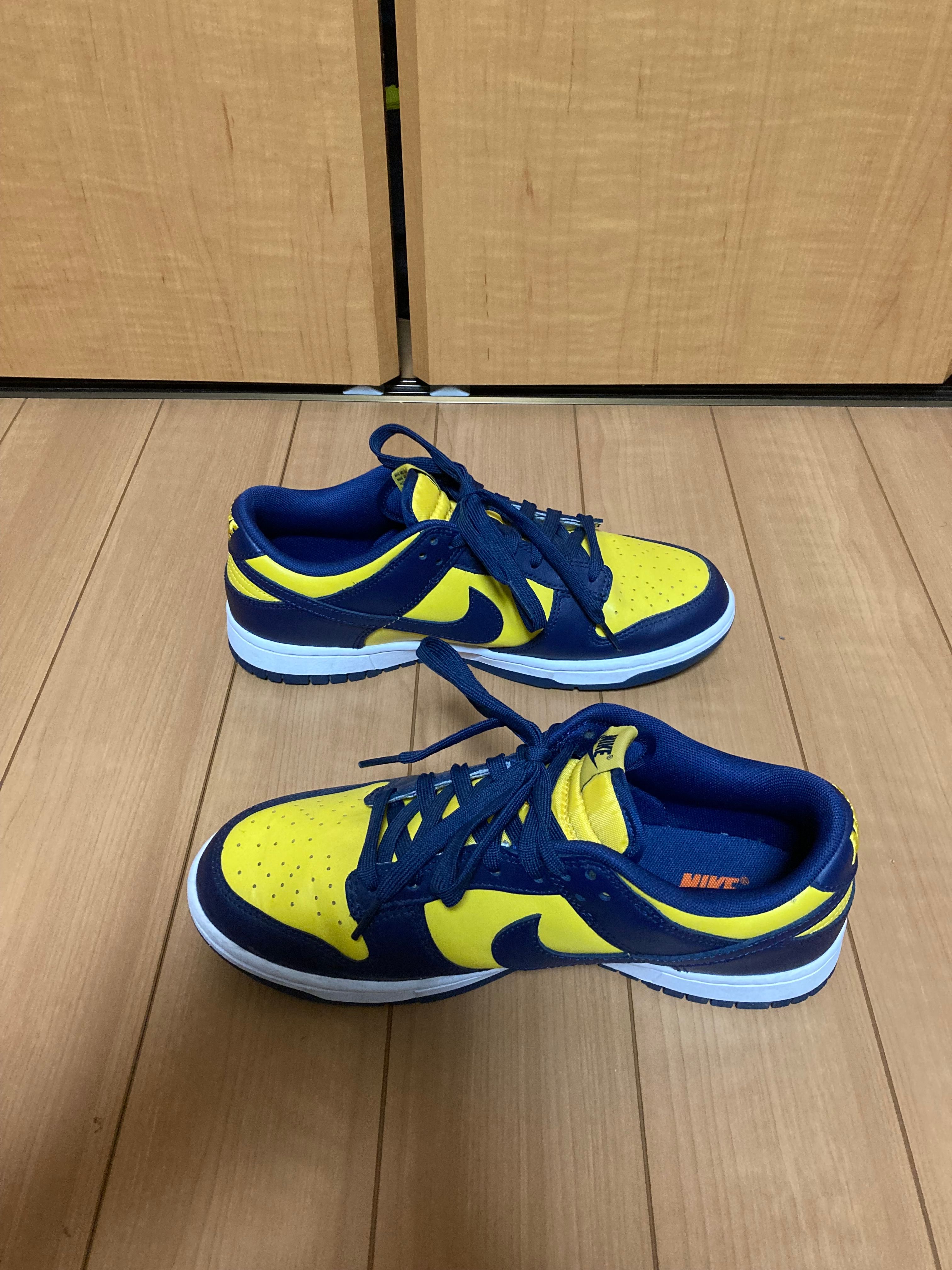 Nike Dunk Low "Michigan"