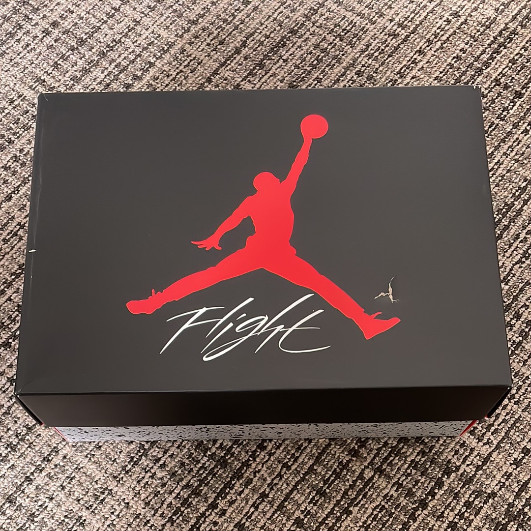 Nike Air Jordan 4 Retro "White/Cement" (2025)