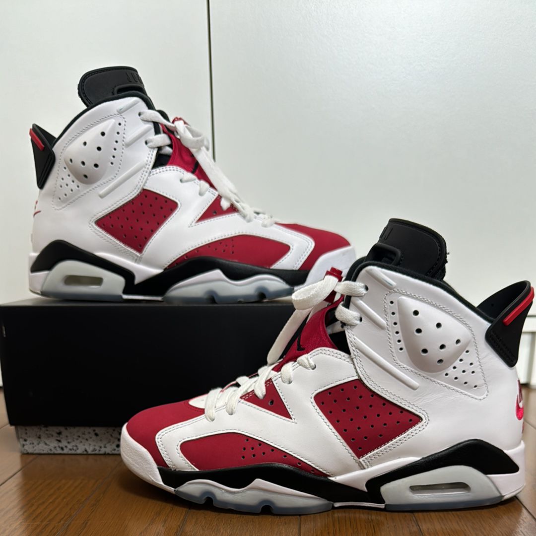 Nike Air Jordan 6 "Carmine" (2021)