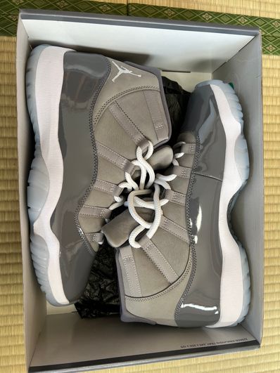 Nike Air Jordan 11 Retro "Cool Grey"