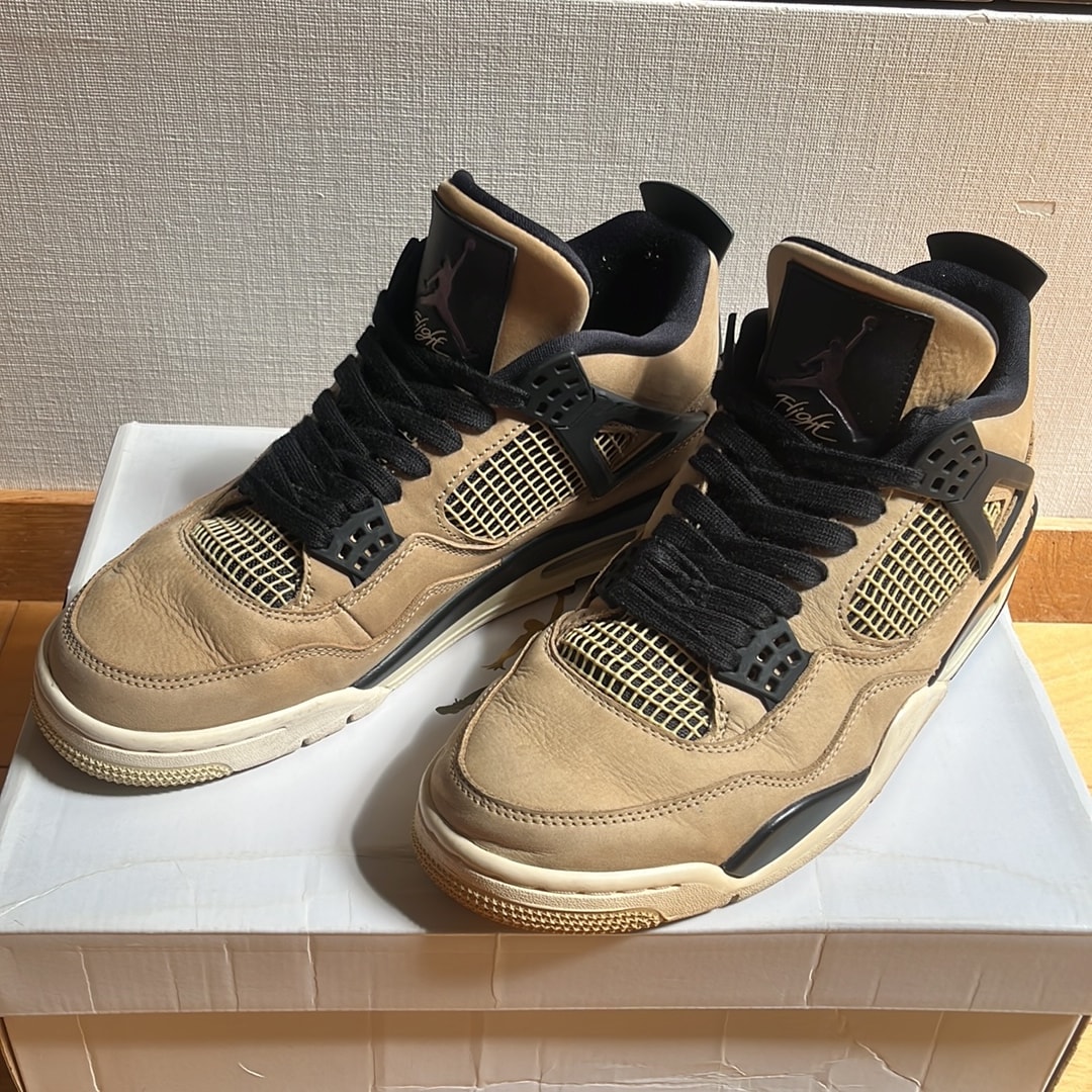 Nike Women's Air Jordan 4 "Mushroom"
