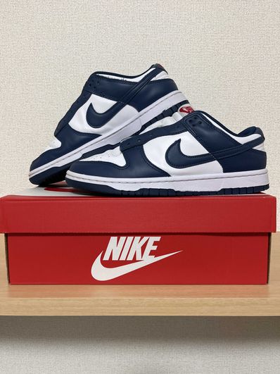 Nike Dunk Low "Valerian Blue"