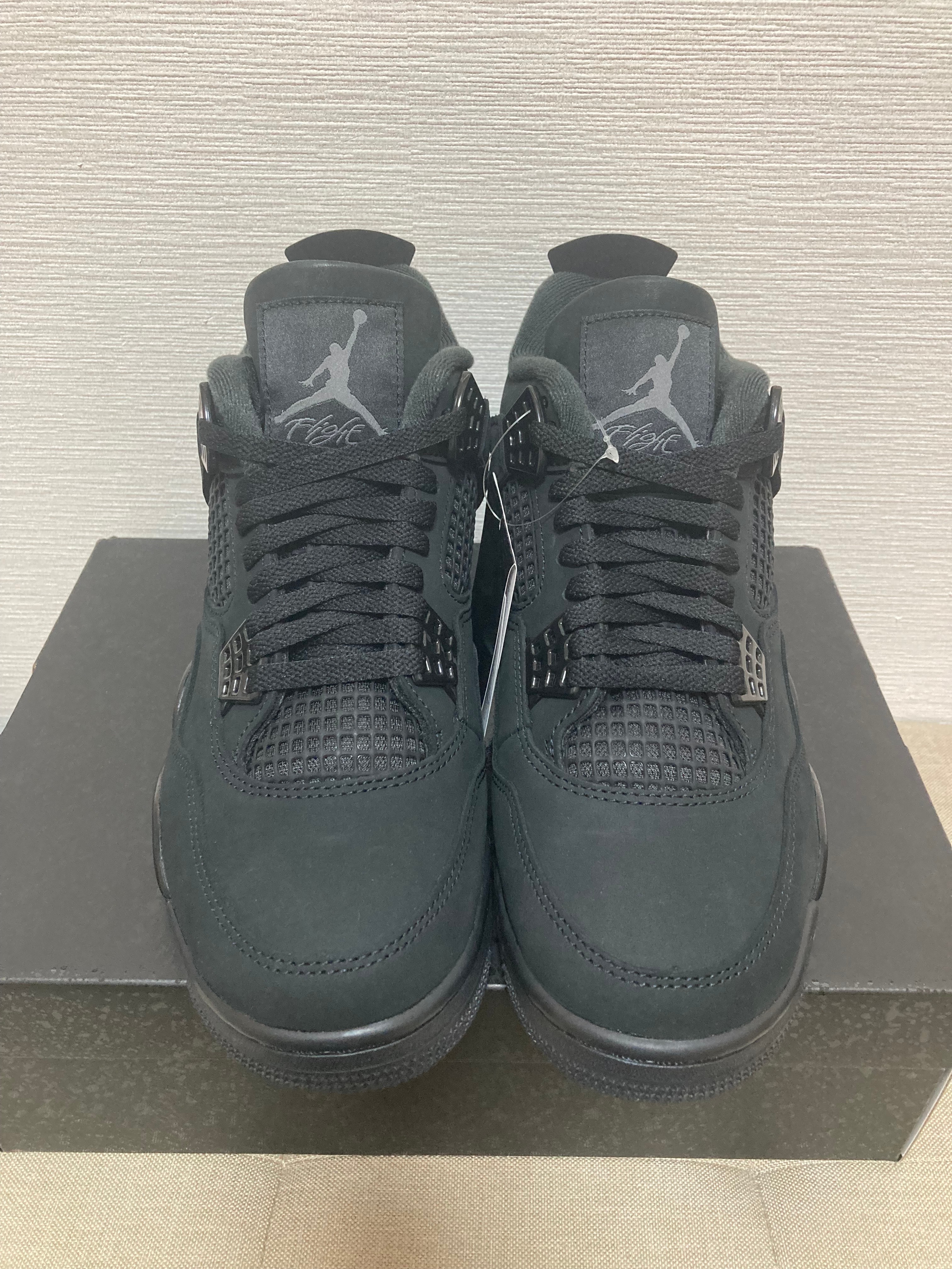 Nike Air Jordan 4 Retro OG "Black Cat" (2025)