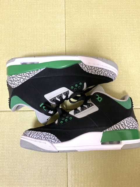 Nike Air Jordan 3 "Pine Green"