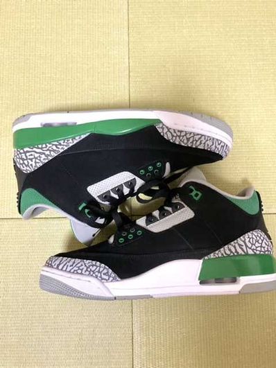 Nike Air Jordan 3 "Pine Green"