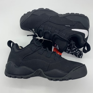 Supreme × Nike SB Darwin Low "Black"