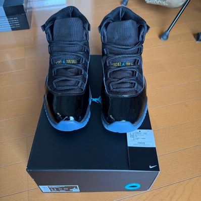 Nike Air Jordan 11 Retro "Gamma" (2025)