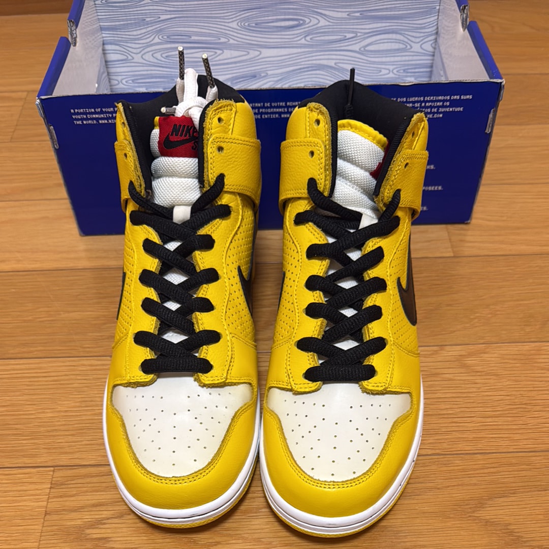 Nike SB Dunk High "Wet Floor"