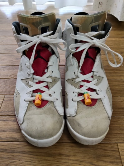 Nike Air Jordan 6 "Neutral Grey/Hare" (CT8529-062/CT9529-062)