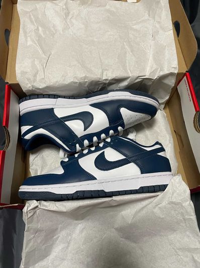 Nike Dunk Low "Valerian Blue"