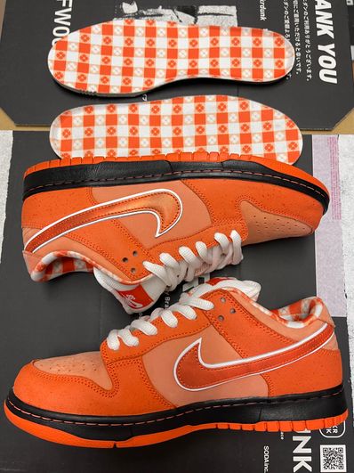 Concepts × Nike SB Dunk Low SP