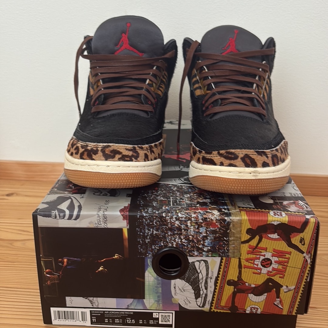 Nike Air Jordan 3 Retro SE "Animal Instinct/Safari"