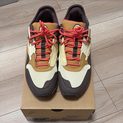 Travis Scott × Nike Air Max 1 "CACT.US Brown"