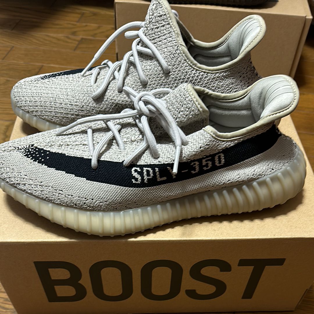 adidas YEEZY Boost 350V2 "Slate"