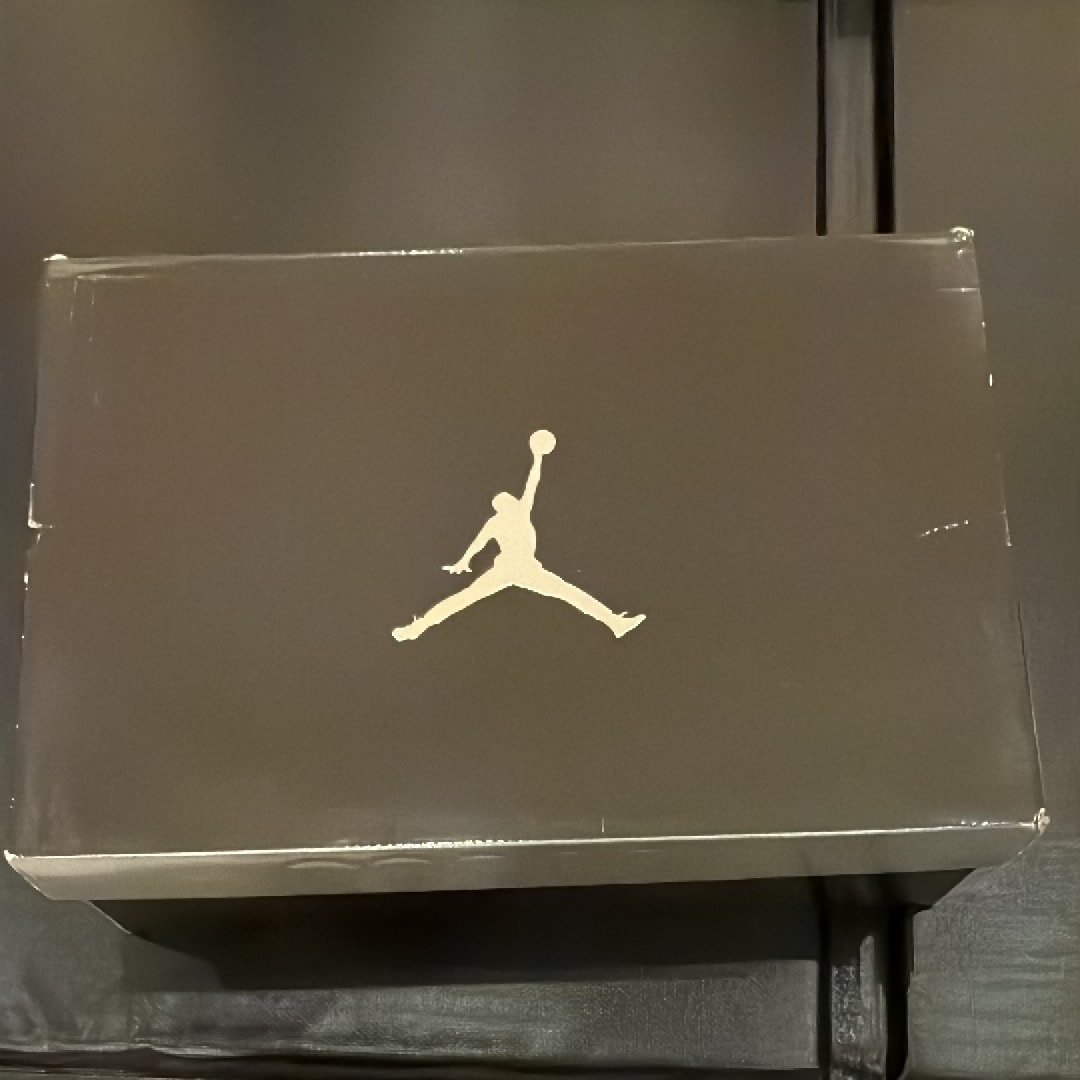 ナイキ エアジョーダン6 レトロ "オレオ"