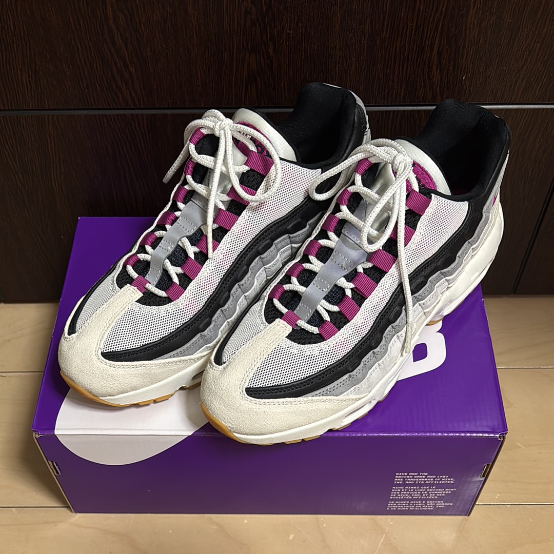 Nike SB Air Max 95 "Summit White/Cactus Flower"