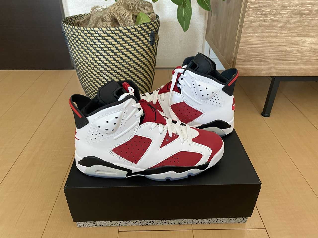 Nike Air Jordan 6 "Carmine" (2021)