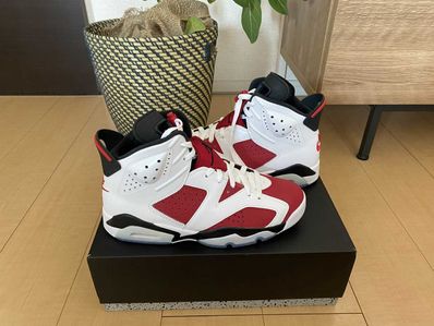 Nike Air Jordan 6 "Carmine" (2021)