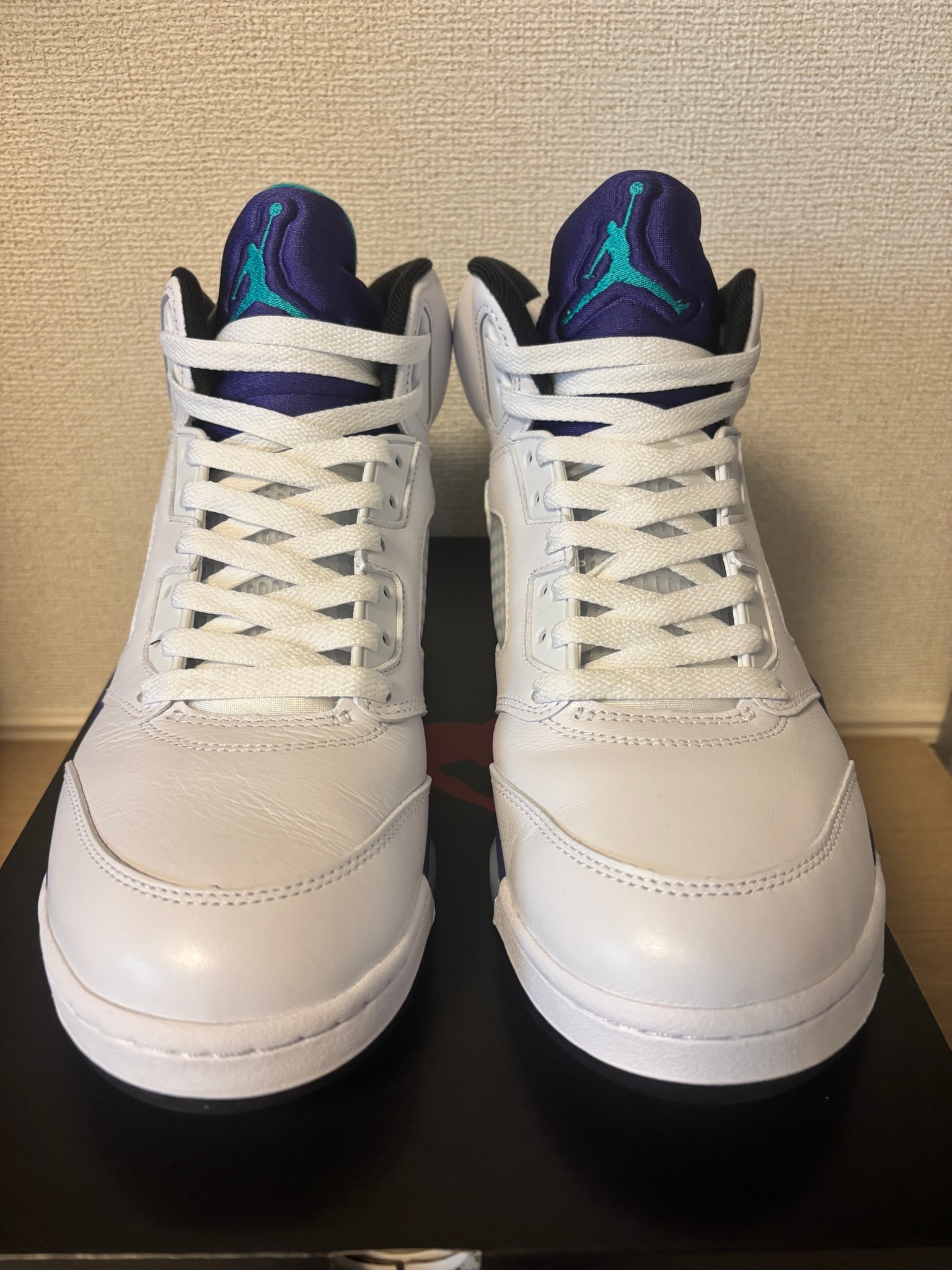 Nike Air Jordan 5 Retro "Grape" (2025)