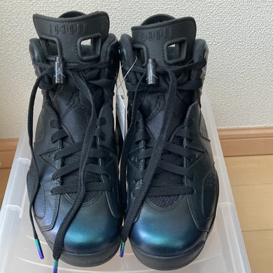 Nike Air Jordan 6 Retro All Star 2017 "Chameleon"