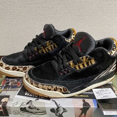 Nike Air Jordan 3 Retro SE "Animal Instinct/Safari"