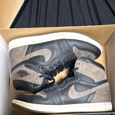 Nike Air Jordan 1 Retro High OG "Palomino"