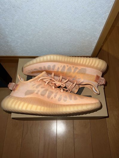 adidas YEEZY Boost 350 V2 "Mono Clay"