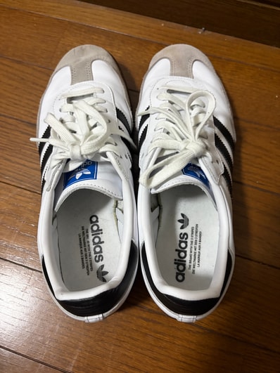 adidas Samba OG "Cloud White/Core Black/Clear Granite"