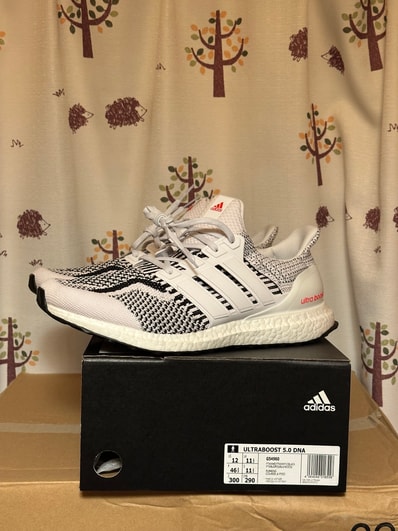 adidas Ultra Boost 5.0 DNA "Zebra"