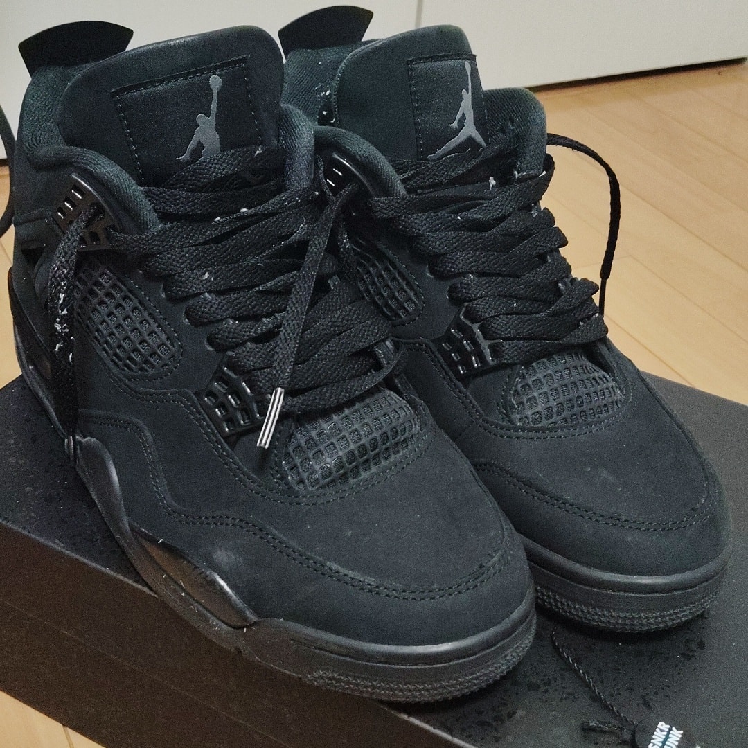 Nike Air Jordan 4 Retro OG "Black Cat" (2025)