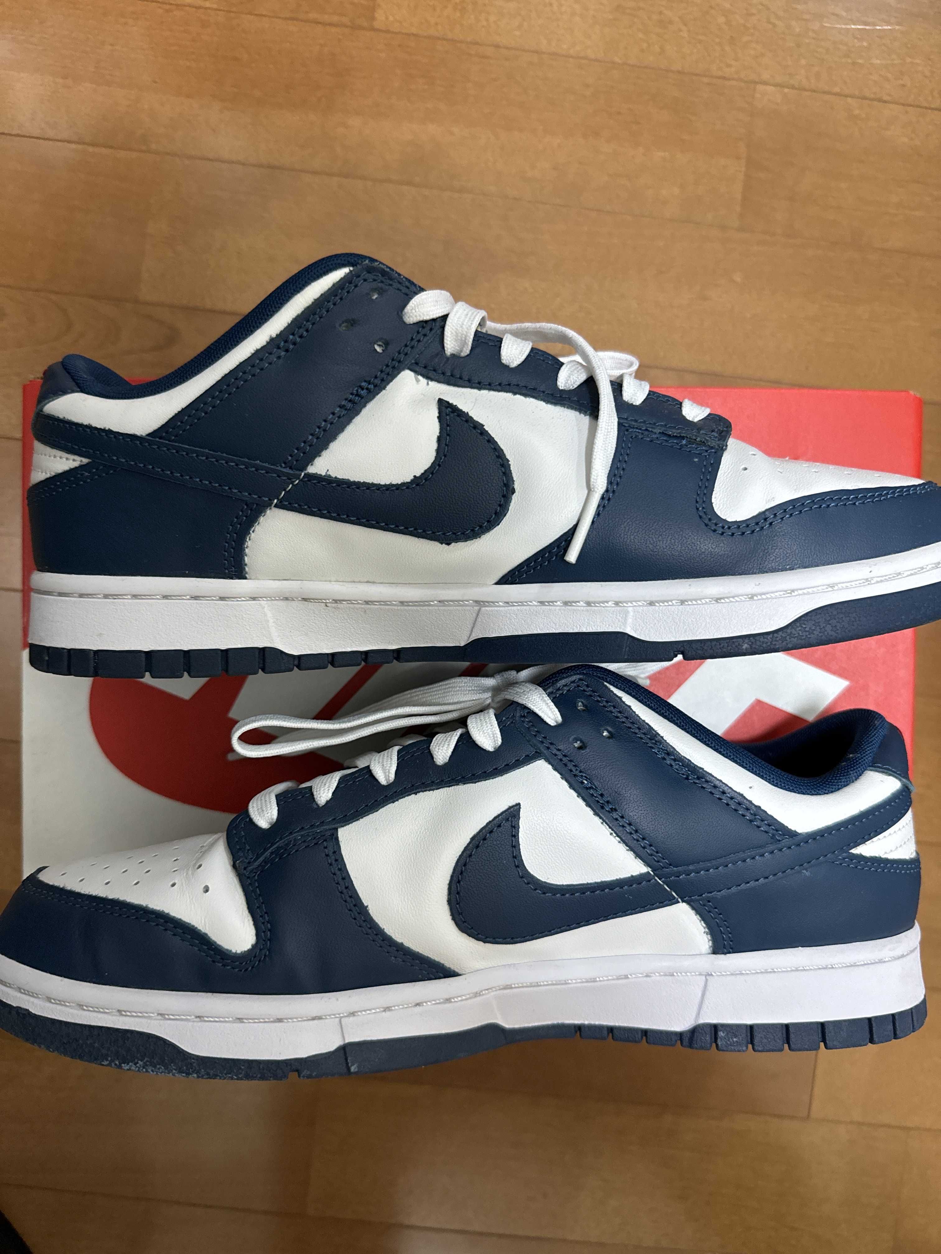 Nike Dunk Low "Valerian Blue"