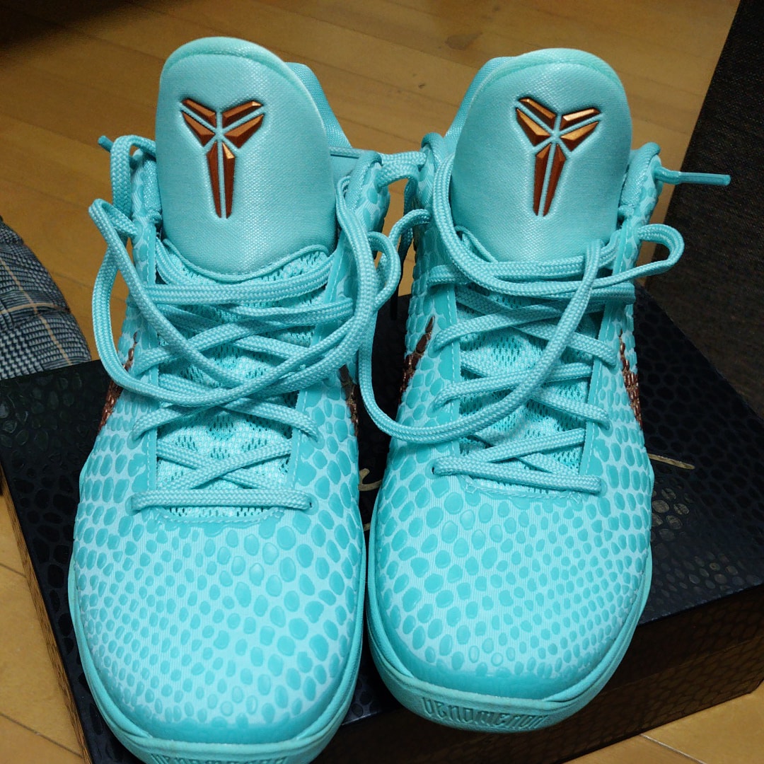 Jalen Brunson × Nike Kobe 6 Protro "Statue of Liberty"