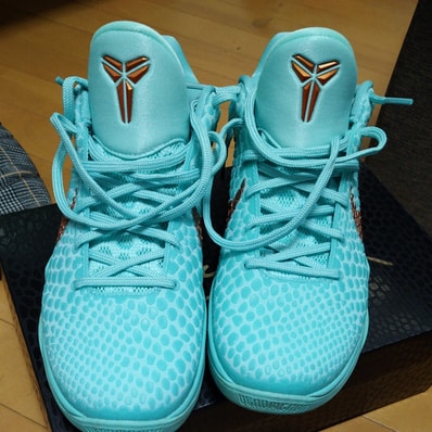 Jalen Brunson × Nike Kobe 6 Protro "Statue of Liberty"