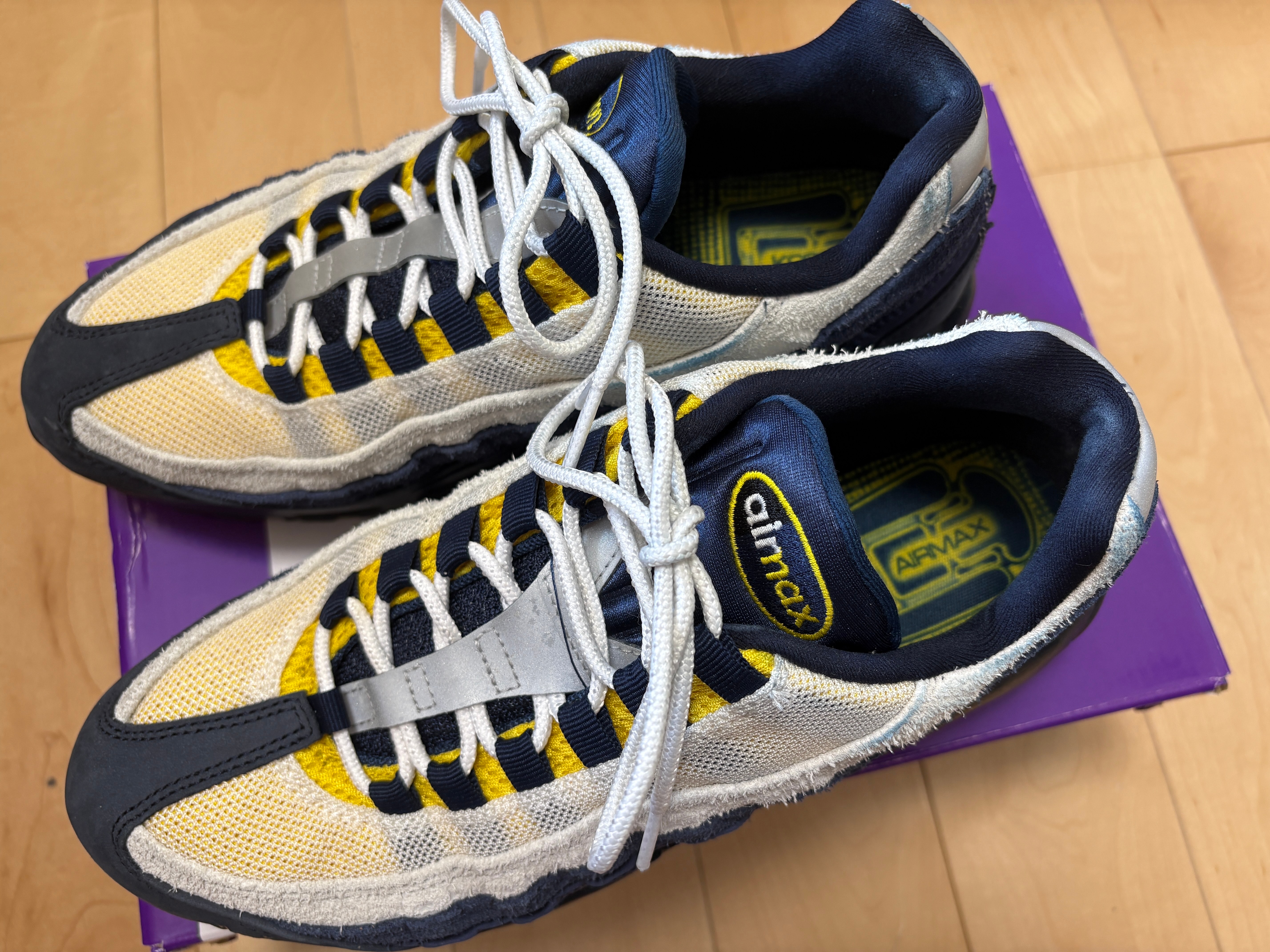 Eric Koston × Nike SB Air Max 95 "Obsidian and Speed Yellow"