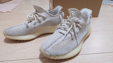 adidas YEEZY Boost 350V2 "Bone"