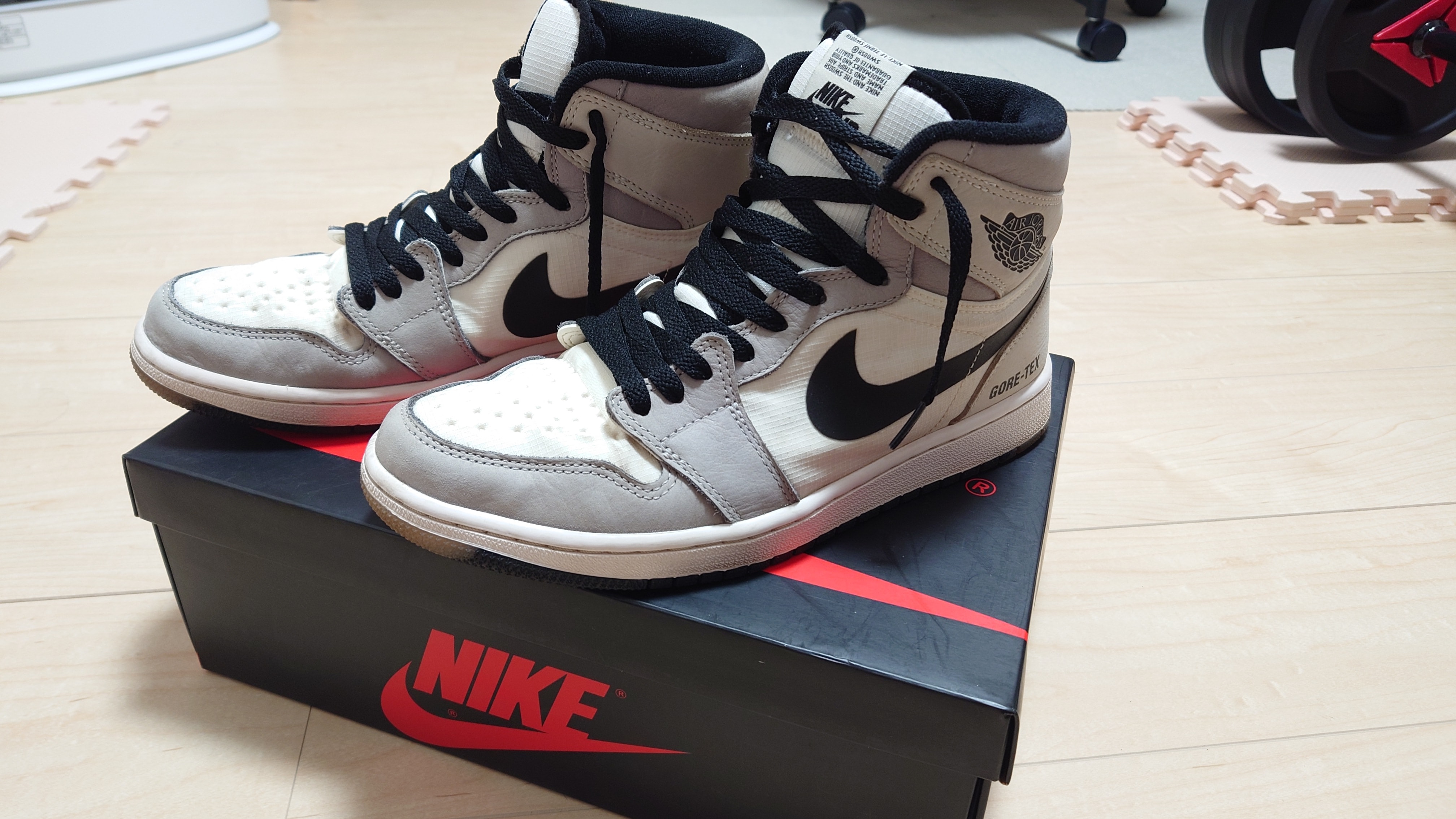 Nike Air Jordan 1 Element GORE-TEX "Sail"