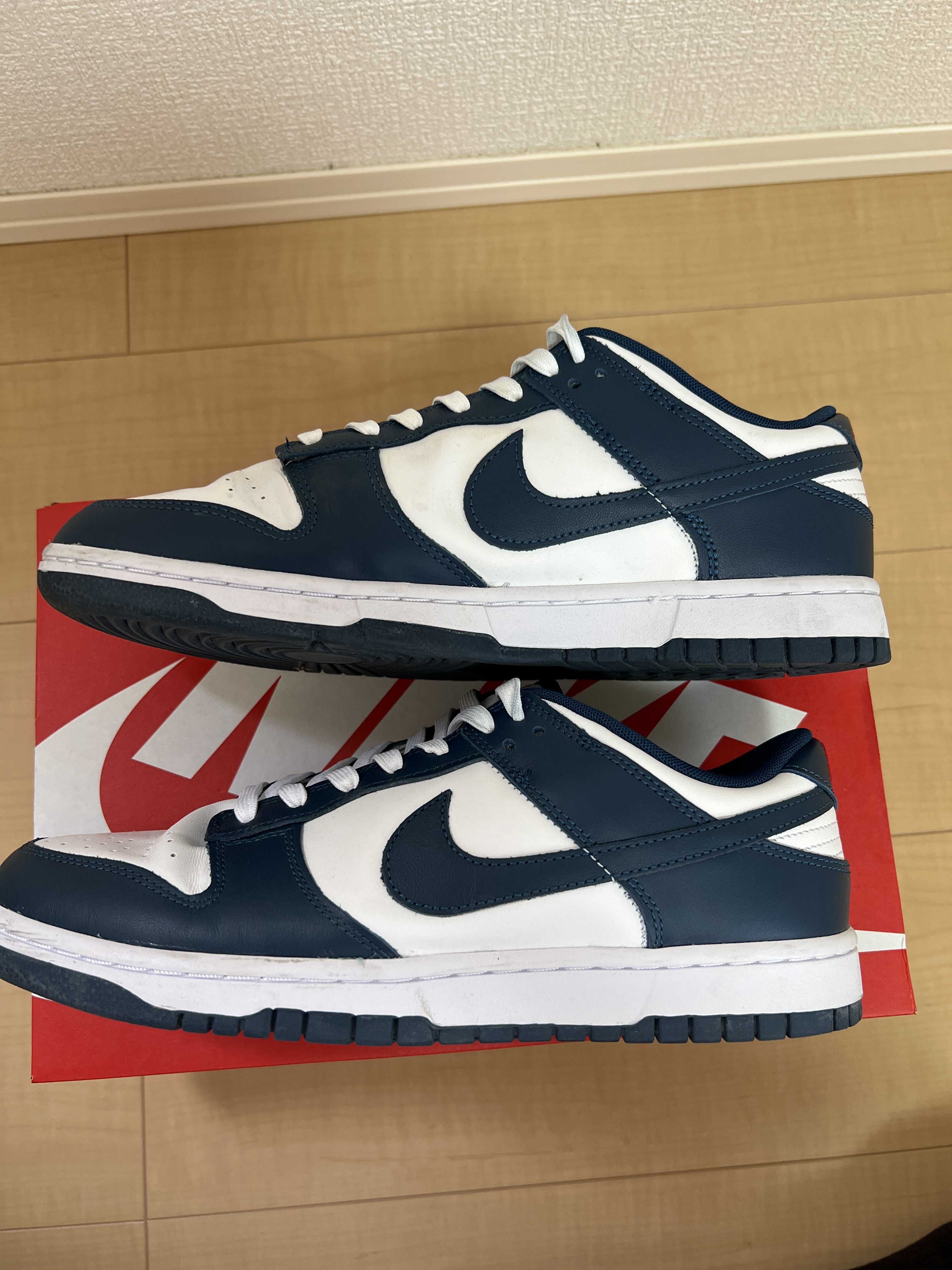 Nike Dunk Low "Valerian Blue"